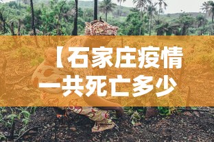 【石家庄疫情一共死亡多少人/石家庄疫情最新情况】 【石家庄疫情一共死亡多少人/石家庄疫情最新情况】