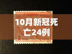 10月新冠死亡24例 10月新冠死亡24例