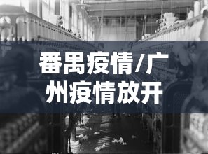 番禺疫情/广州疫情放开