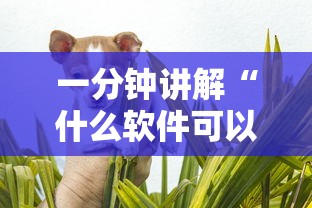 一分钟讲解“什么软件可以创建房间玩斗牛”获取房卡教程