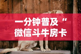 一分钟普及“微信斗牛房卡充值”详细介绍房卡使用方式