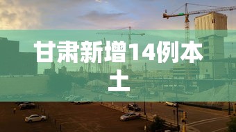 甘肃新增14例本土,甘肃新增14例本土