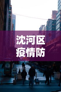 沈河区疫情防控指挥部电话（沈河区疫情防控指挥部电话号码）