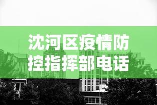 沈河区疫情防控指挥部电话（沈河区疫情防控指挥部电话号码）