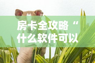 房卡全攻略“什么软件可以创建房间玩斗牛”房卡获取方法
