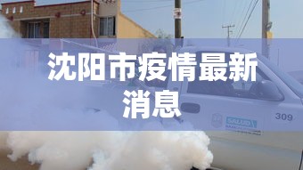 沈阳市疫情最新消息