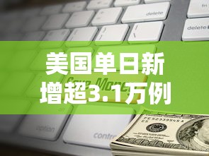 美国单日新增超3.1万例 美国单日新增超3.1万例