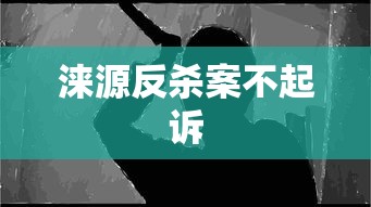 涞源反杀案不起诉，涞源反杀案，不起诉决定