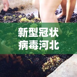 新型冠状病毒河北