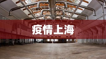 疫情上海,上海疫情