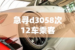 急寻d3058次12车乘客，急寻D3058次12车乘客