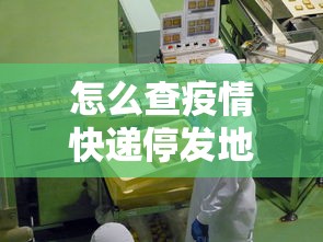 怎么查疫情快递停发地区(查询快递停发地区)