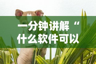 一分钟讲解“什么软件可以创建房间玩斗牛”详细介绍房卡使用方式