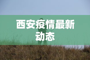 西安疫情最新动态