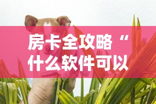 房卡全攻略“什么软件可以创建房间玩斗牛”详细房卡怎么购买教程