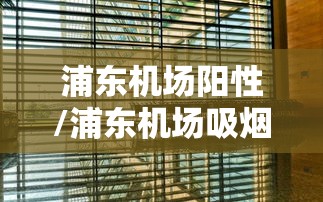 浦东机场阳性/浦东机场吸烟室H187