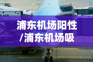 浦东机场阳性/浦东机场吸烟室H187
