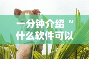 一分钟介绍“什么软件可以创建房间玩斗牛”哪里获取房卡