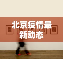 北京疫情最新动态，北京疫情最新动态与防控进展