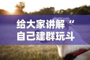 给大家讲解“自己建群玩斗牛房卡去哪买”详细房卡怎么购买方式