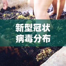新型冠状病毒分布，全球新型冠状病毒分布图