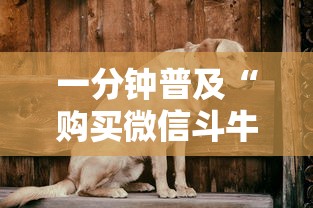 一分钟普及“购买微信斗牛房卡联系方式”详细房卡教程