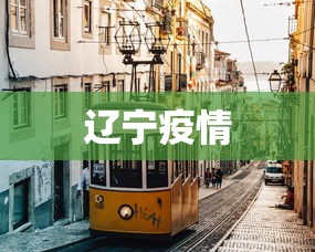 辽宁疫情 辽宁疫情