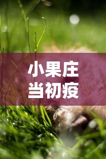 小果庄当初疫情时是怎么对待动物的/小果庄疫情什么时间开始 小果庄当初疫情时是怎么对待动物的/小果庄疫情什么时间开始