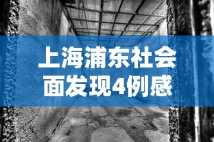 上海浦东社会面发现4例感染者，上海浦东社会面新增4例感染者