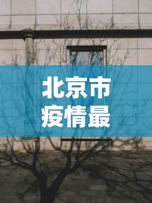 北京市疫情最新动态 北京市疫情最新动态