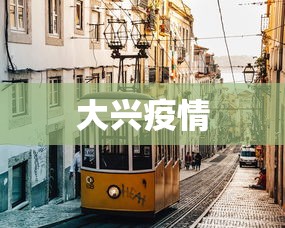 大兴疫情