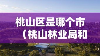 桃山区是哪个市(桃山林业局和桃山区是一个地方吗)