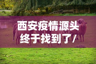 西安疫情源头终于找到了/西安疫情是哪一年开始的