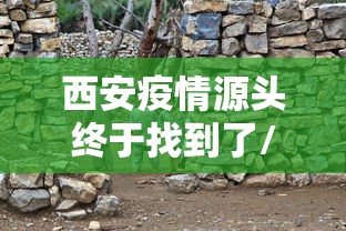 西安疫情源头终于找到了/西安疫情是哪一年开始的