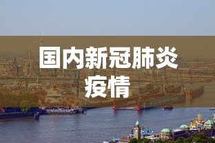 国内新冠肺炎疫情 国内新冠肺炎疫情