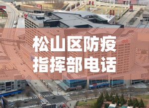 松山区防疫指挥部电话:松山区向阳街道社区卫生服务中心电话