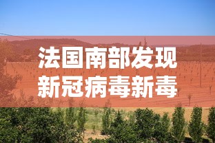 法国南部发现新冠病毒新毒株(法国南部枫丹白露几百年之前大面积原始森林毫无路) 法国南部发现新冠病毒新毒株(法国南部枫丹白露几百年之前大面积原始森林毫无路)