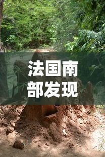 法国南部发现新冠病毒新毒株（法国南部枫丹白露几百年之前大面积原始森林毫无路）