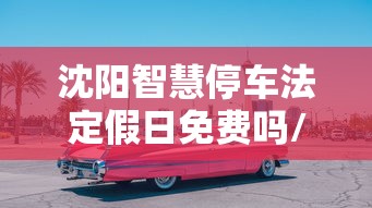 沈阳智慧停车法定假日免费吗/沈阳智慧停车董事长进去了吗