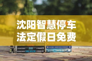 沈阳智慧停车法定假日免费吗/沈阳智慧停车董事长进去了吗