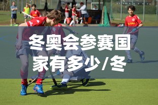 冬奥会参赛国家有多少/冬奥会参赛项目