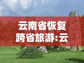 云南省恢复跨省旅游:云南省恢复跨省旅游开放