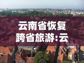 云南省恢复跨省旅游:云南省恢复跨省旅游开放