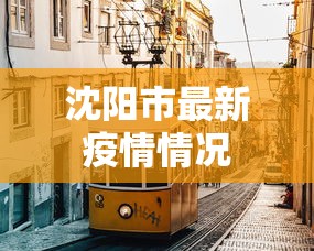沈阳市最新疫情情况，沈阳市最新疫情动态与防控进展