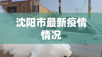 沈阳市最新疫情情况