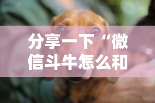 分享一下“微信斗牛怎么和朋友创房间玩”详细房卡使用教程
