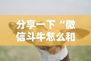 分享一下“微信斗牛怎么和朋友创房间玩”详细房卡使用教程