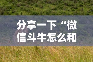 分享一下“微信斗牛怎么和朋友创房间玩”详细房卡使用教程