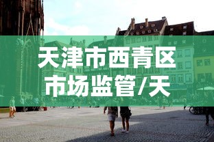 天津市西青区市场监管/天津市西青区市场监督局局长