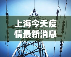 上海今天疫情最新消息,上海今日疫情最新通报